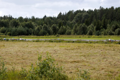 3FN220806-342